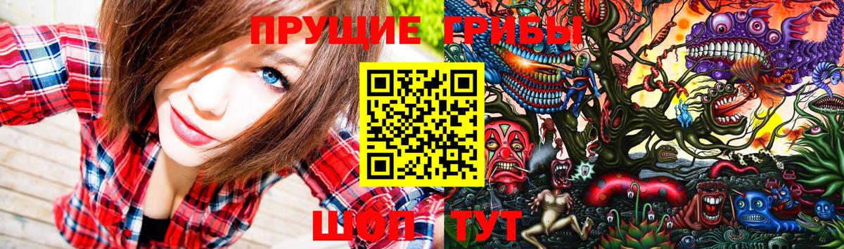 Новотроицк  где купить   Вход с VPN  Псилоцибиновые грибы прущие грибы 