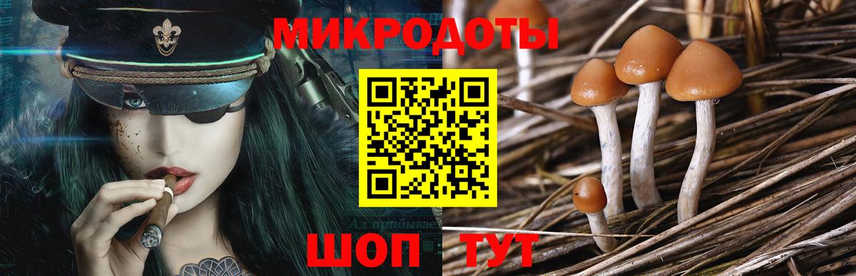 Галлюциногенные грибы ЛСД Новотроицк